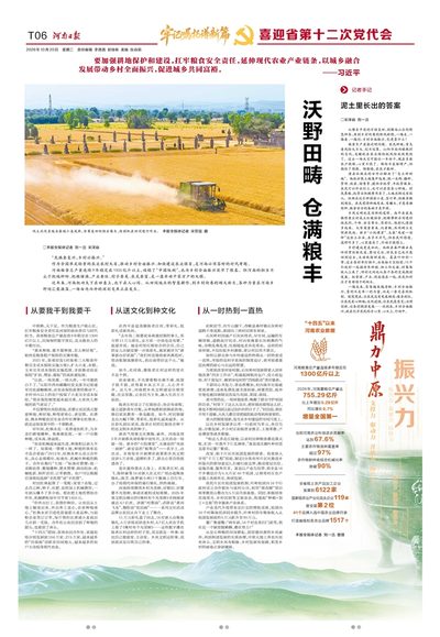 T06版：鼎力中原